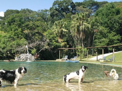 Pousada Gaiva Viva - Igaratá - Pet Friendly