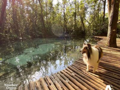 hotel Areia que Canta Pet Friendly - Brotas
