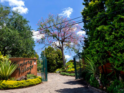 hotel-grinbergs-vilage - pet friendly - Socorro