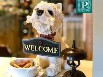 Hotel Petit Montanha - Pet Friendly